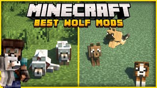 10 Great Minecraft Mods that Change Wolves [upl. by Rafaelita]