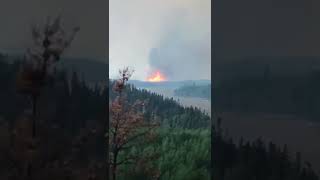 Massive Forest Fire Engulfs Pukatawagan Manitoba 🔥 [upl. by Lekkim568]