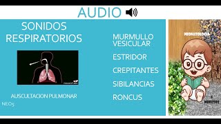 RUIDOS RESPIRATORIOS AUDIO [upl. by Murray101]