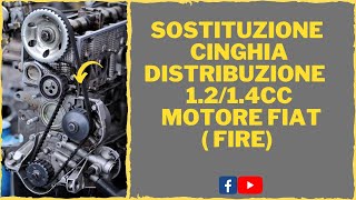 SOSTITUZIONE CINGHIA DISTRIBUZIONE FIAT 1214 [upl. by Ehcram971]