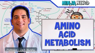 Metabolism  Amino Acid Metabolism [upl. by Imelida]