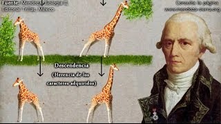 Evolución Ideas preevolucionistas de Anaximandro a Lamarck [upl. by Amol]