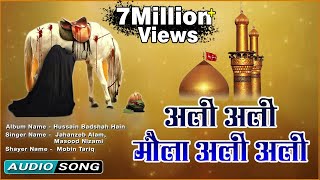 Ali Ali Maula Ali Ali  Beautiful Qawwali Video Song  Muharram Special Audio [upl. by Annahsar365]