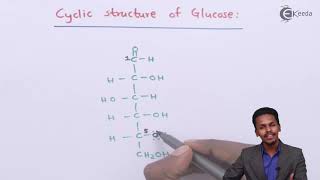 Cyclic Structure of Glucose  Biomolecules  Chemistry Class 12 [upl. by Salbu]