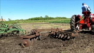 Working the Farmall 300 [upl. by Nosna]