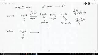 synthesis of tertiary amines [upl. by Gardal]