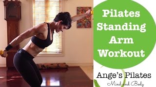 Pilates 12 Minute Standing Arm Series [upl. by Barta]