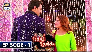 Barfi Laddu Episode 1  6th June 2019  ARY Digital Drama [upl. by Lazaro]