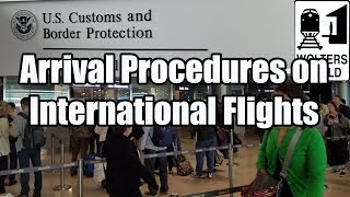 What is the Arrival Procedure on an International Flight [upl. by Slavin]