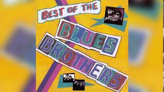 Blues Brothers  Best Of 1981 Full Album [upl. by Imas]