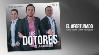 Los Dotores De La Carranga  El afortunado Cover Audio [upl. by Faith]