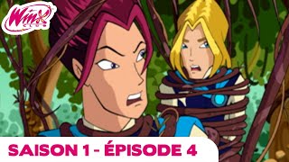 Winx Club  Saison 1  Épisode 4  La voix de la nature ÉPISODE COMPLET [upl. by Allenad]