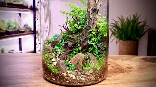 Making a Tree Trunk Terrarium [upl. by Ahsemrak]