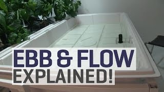 Ebb and Flow Hydroponics Explained [upl. by Idissak]