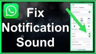 How To Fix WhatsApp Notification Sound EASY [upl. by Lynus886]