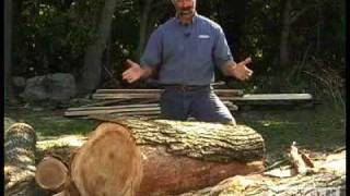 Woodworking DIY Tips Cutting Lumber from Logs [upl. by Artemis340]