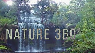 Virtual Nature 360°  Nature Meditation for VR Quest [upl. by Llerraj]