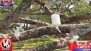 Officers Giving Treatment For Pillalamarri Banyan Tree In Mahabubnagar  Teenmaar News  V6 News [upl. by Noami]