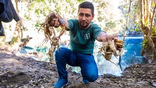 Nuestra Mejor Pesca y Cocina de Cangrejos En Un Hermoso Rio [upl. by Nnayhs]