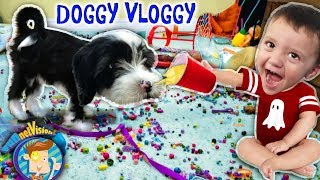 ITS OREO FUNnel V Fam Doggy Vloggy Whos Harder to Handle Puppy or Baby After Christmas Vlo [upl. by Leyla]