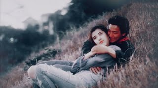 Tình Như Lá Bay Xa 难得有情人 • 王祖贤Vương Tổ Hiền MV [upl. by Trakas57]