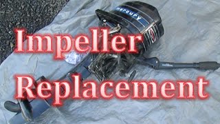 Mercury Impeller Replacement Repair the Water Pump 4 5 6 7 8 9 hp horse Power Outboard Motor [upl. by Eiramoj]