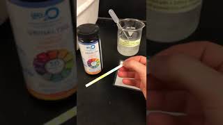 Lactase Enzyme Lactaid Dairy Relief Lab Part 1 [upl. by Skilken]