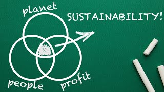 What is SUSTAINABILITY Explained By An Expert [upl. by Nuy]