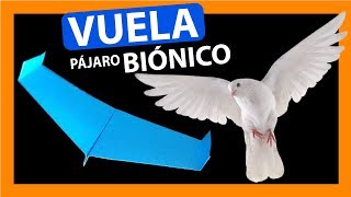 Como hacer un AVIÓN DE PAPEL BIÓNICO que vuele mucho y que vuela como un PÁJARO REAL [upl. by Halika]