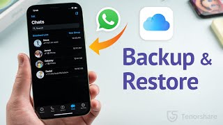 How to Backup amp Restore WhatsApp Messages on iPhone 3 Ways [upl. by Adnoma766]