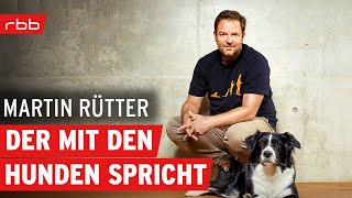 Hundeflüsterer Martin Rütter  Interview  DER TAG [upl. by Aerdnu]