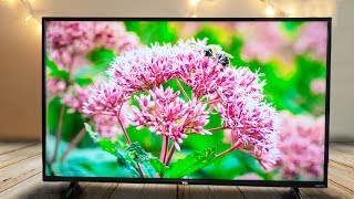 TCL 43 Inch 4K Roku TV Review [upl. by Darice]