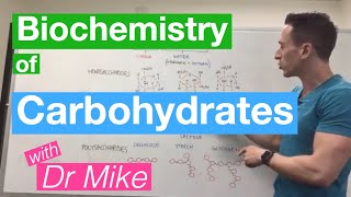 Carbohydrates  Biochemistry [upl. by Moyra]