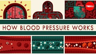 What the Pulse Pressure tells you [upl. by Nevil]