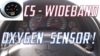 C5 Corvette Wideband Thoughts [upl. by Africa912]