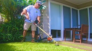 Line Trimming a small backyard No Lawn Mower required [upl. by Sessler]