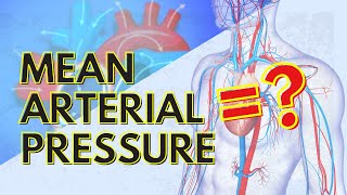 Systemic Vascular Resistance Total Peripheral Resistance  Cardiology [upl. by Kristin532]