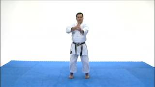 Goju Ryu basics strikes blocks amp kicks [upl. by Doug]