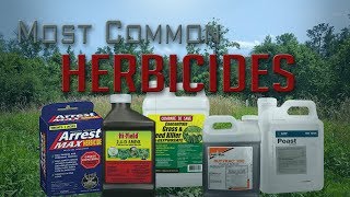 Five Most Common Food Plot Herbicides [upl. by Rico]