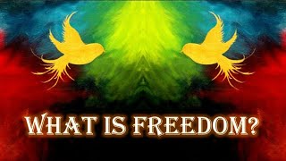 WHAT IS FREEDOM [upl. by Huskey]