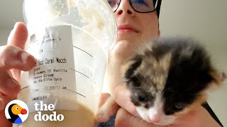 Couple Finds A Tiny Calico Kitten Outside of Starbucks  The Dodo [upl. by Alodi147]