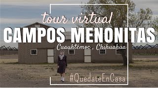 Tour CAMPOS MENONITAS  Cuauhtémoc Chihuahua [upl. by Gaskill717]