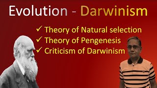 DARWINISM [upl. by Nalani355]