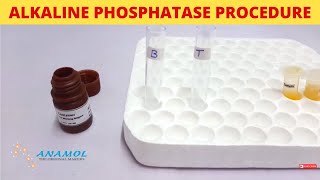 Alkaline Phosphatase Test  ALP Test [upl. by Alletse]