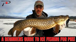 A Beginners Guide To Ice Fishing For Pike [upl. by Llerred]