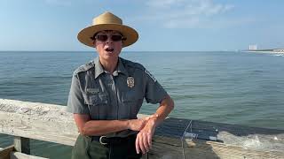 Learn How to Crab at Myrtle Beach State Park [upl. by Trish]