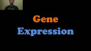 Gene Expression [upl. by Navonod]