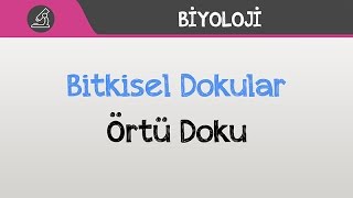 Bitkisel Dokular  Örtü Doku [upl. by Nalyac]