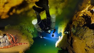 Underwater Cave Creatures Worlds rarest cave [upl. by Streeter]