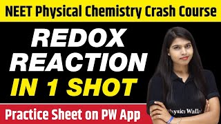 REDOX REACTION in 1 Shot  All Concepts Tricks amp PYQs Covered  Class 11  NEET [upl. by Haroppizt]